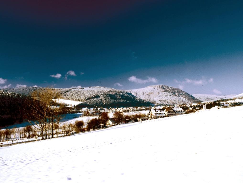 Heidehotel Hildfeld Winterberg Exteriér fotografie