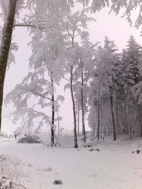 Heidehotel Hildfeld Winterberg Exteriér fotografie